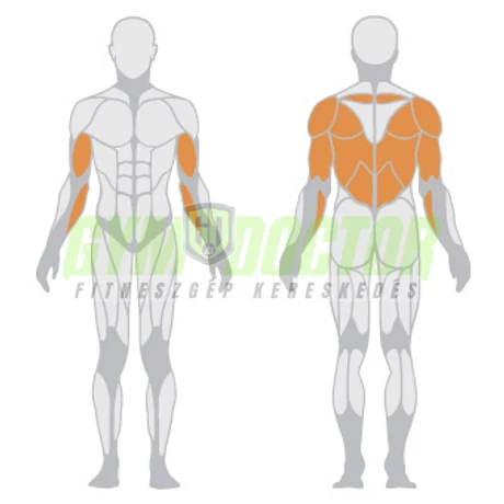 DORSY BAR – T RUDAS EVEZŐ -Panatta Freeweight Hp