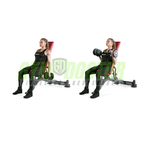 FULLY ADJUSTABLE BENCH – ÁLLÍTHATÓ PAD -Panatta Freeweight Hp