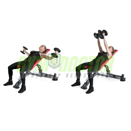 FULLY ADJUSTABLE BENCH – ÁLLÍTHATÓ PAD -Panatta Freeweight Hp