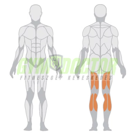 LEG CURLING – COMBFESZÍTŐ GÉP -Panatta Freeweight Hp