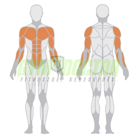 OLYMPIC MULTI BENCH – ÁLLÍTHATÓ FEKVENYOMÓ PAD -Panatta Freeweight Hp