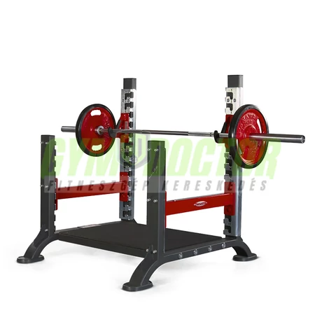 POWER PLATFORM -Panatta Freeweight Hp