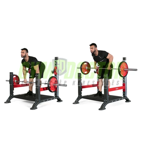 POWER PLATFORM -Panatta Freeweight Hp