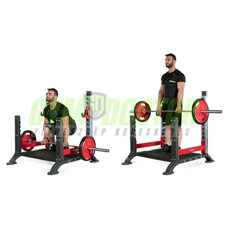 POWER PLATFORM -Panatta Freeweight Hp