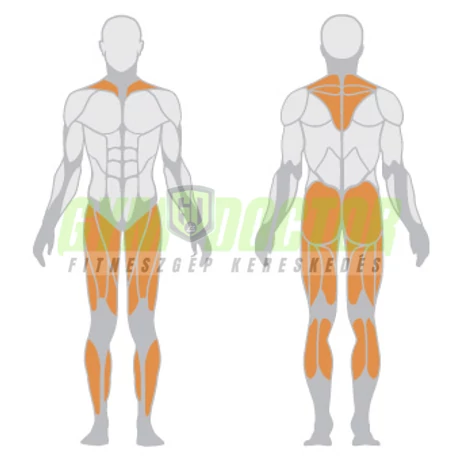 SQUAT LUNGE – GUGGOLÓ -Panatta Freeweight Hp