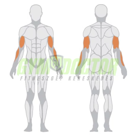 STANDING CURL BENCH – ÁLLÓ BICEPSZ PAD -Panatta Freeweight Hp