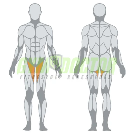 ADDUCTOR MACHINE – COMBKÖZELÍTŐ GÉP -Panatta Monolith