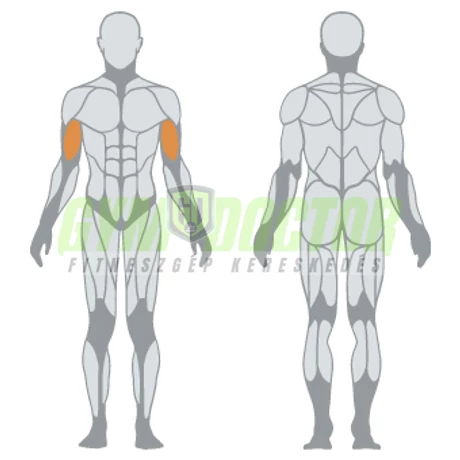 ALTERNATE ARM CURL – BICEPSZ GÉP -Panatta Monolith