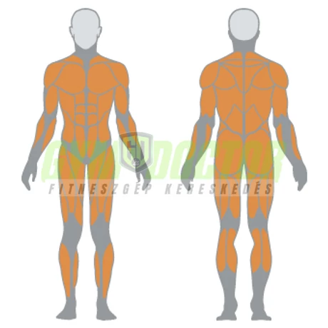 JUNGLE MACHINE + ADJUSTABLE CABLE STATION WITH BAR -Panatta Monolith