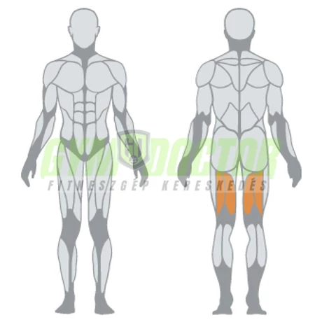 SEATED LEG CURLING – ÜLŐ COMBHAJLÍTÓ GÉP -Panatta Monolith
