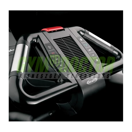 RUNNER NEW GOLD – FUTÓPAD -Panatta Pininfarina