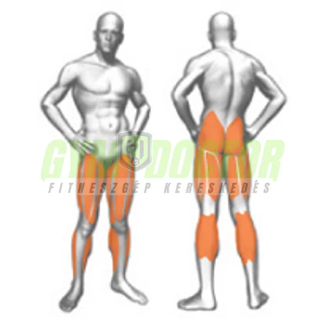 HORIZONTAL LEG PRESS – VÍZSZINTES LÁBTOLÓ -Panatta Sec