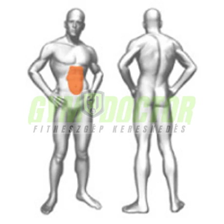 ABDOMINAL CRUNCH – HASPRÉS -Panatta XP Lux