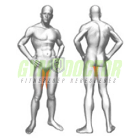 ADDUCTOR MACHINE – COMBKÖZELÍTŐ GÉP -Panatta XP Lux