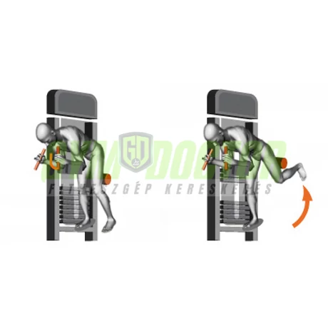 GLUTEUS MACHINE – FARIZOM GÉP-Panatta XP Lux