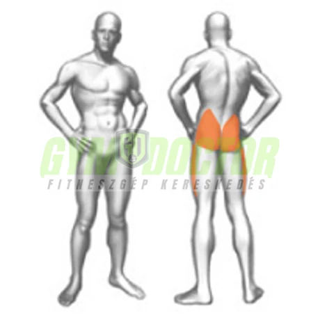 GLUTEUS MACHINE – FARIZOM GÉP-Panatta XP Lux