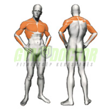 INCLINED CHEST PRESS – FERDE MELLNYOMÓGÉP - Panatta XP Lux