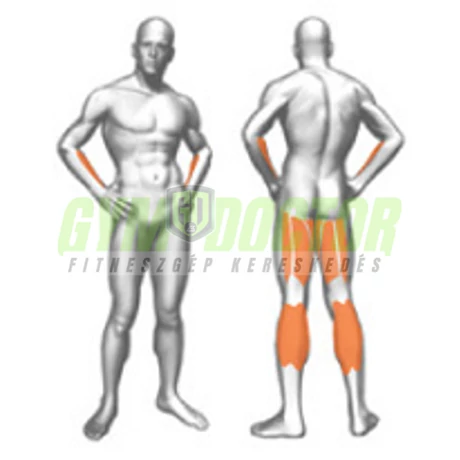 LEG CURLING – FEKVŐ COMBHAJLÍTÓ GÉP -Panatta XP Lux