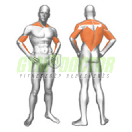 ROWING MACHINE CONVERGENT – MEREVKARÚ FELSŐ EVEZŐGÉP -Panatta XP Lux