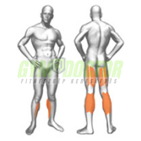 STANDING LEG CURLING – ÁLLÓ COMBHAJLÍTÓ -Panatta XP Lux