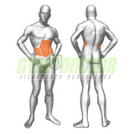 TORSION MACHINE – TÖRZSFORDÍTÓ GÉP -Panatta XP Lux