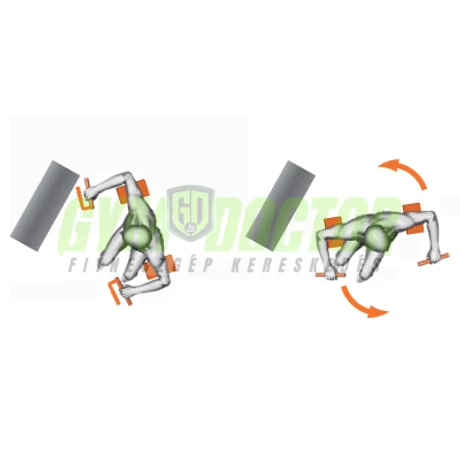 TORSION MACHINE – TÖRZSFORDÍTÓ GÉP -Panatta XP Lux