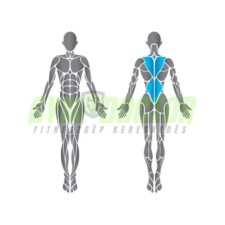 Precor Back Extension Discovery Series - mélyhátgép