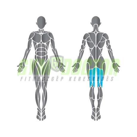 Precor Prone Leg Curl Discovery Series - fekvő lábhajlítógép