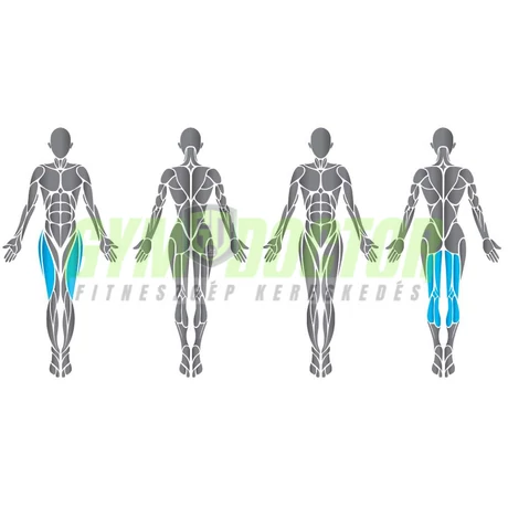 Precor Seated Leg Curl Vitality Series - ülő lábhajlítógép 