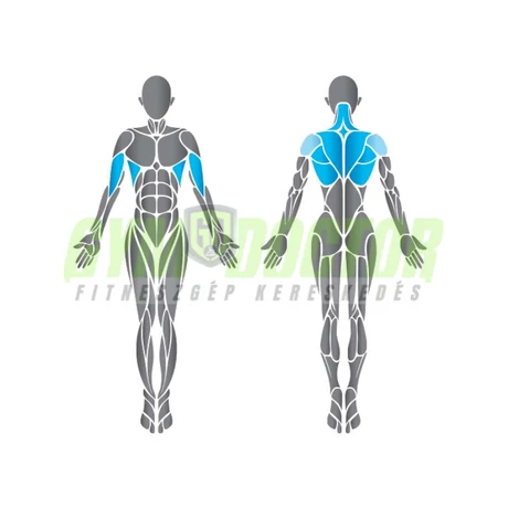 Precor Tricep Extension Vitality Series - tricepszgép