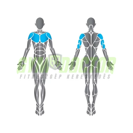 Precor Chest Press Discovery Series – lapsúlyos mellgép