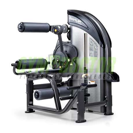 SportsArt Kettős funkció - DF206 Mélyhát/hasprés