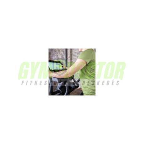 SportsArt - E876-16