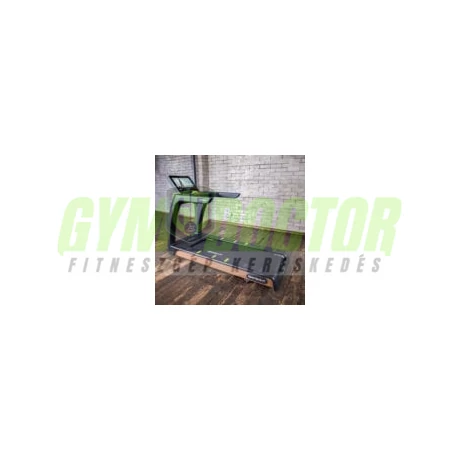 SportsArt - T676-19