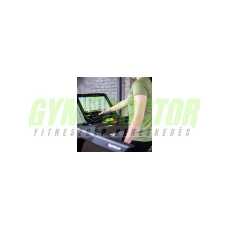 SportsArt - T676-19