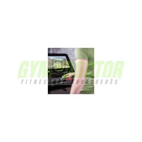 SportsArt - T676-19
