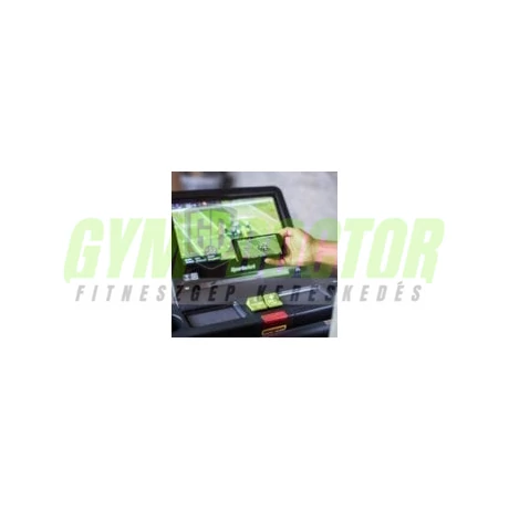 SportsArt - T676-19