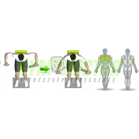 MELLNYOMÓ GÉP - Technogym Element