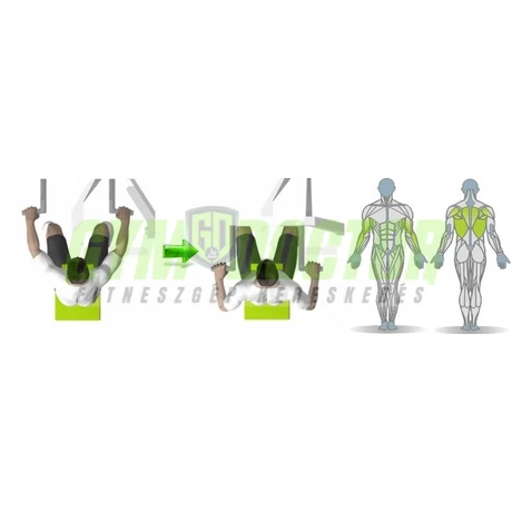 MELLTÁMASZOS EVEZŐ GÉP - Technogym Element