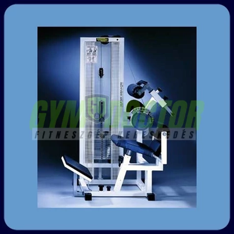 MÉLYHÁT GÉP- Technogym Isotonic