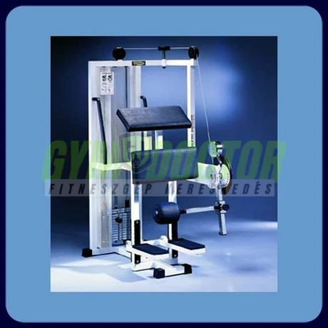 ÁLLÓ FARIZOM GÉP - Technogym Isotonic