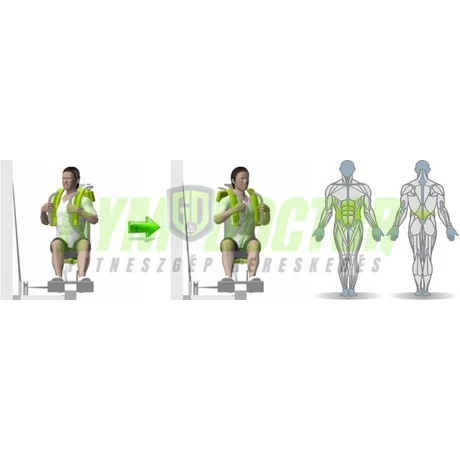 ROTARY TORSO GÉP - Technogym Selection