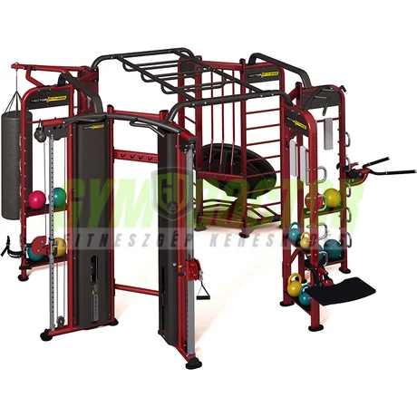 500 - Vector Fitness Funkcionális és crossfit állvány