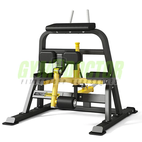 Álló combhajlító gép -Vector Fitness Xtreme