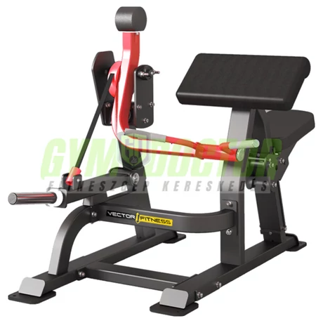 Bicepszgép -Vector Fitness Xtreme