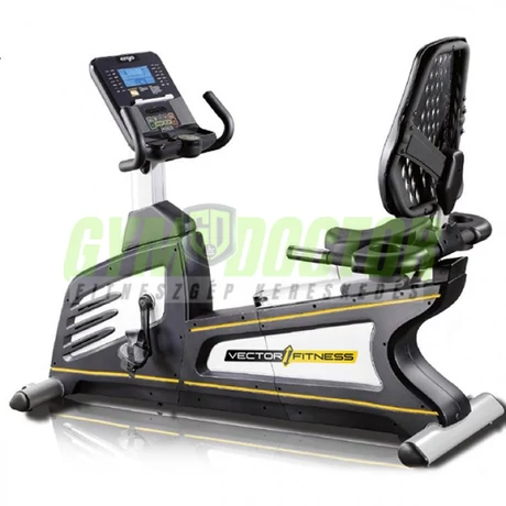 Vector Fitness 2100 professzionális háttámlás kerékpár